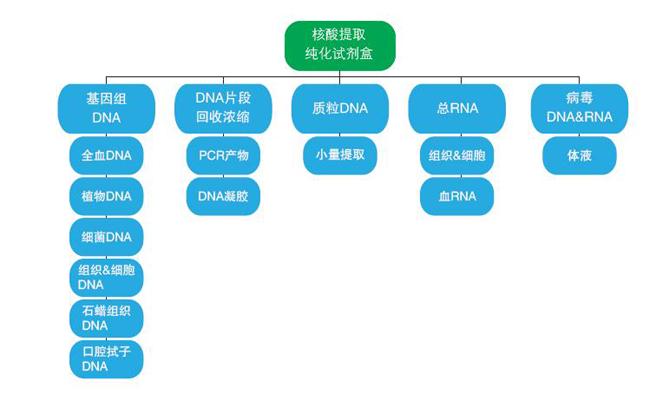 ���ἃ��ԇ�����x��ָ